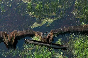 Locals: Aerial view of locals fishing with fences in a Makoro canoe