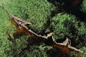 Locals: Aerial view of locals fishing using fences and a Makoro