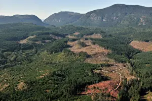 Logging: Aerial view of logged areas