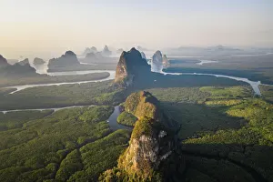 Rhizophoraceae: Aerial view, mangrove forest with meandering river