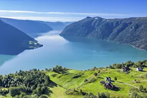 Estuary: Aerial view of meadows and farms above the Lustrafjord