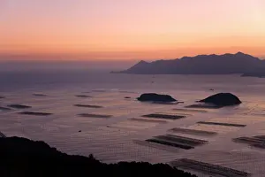 Aquaculture: Aerial view of muddy beach and seaweed farm