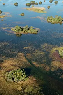 Deltas: Aerial view of Okavango Delta