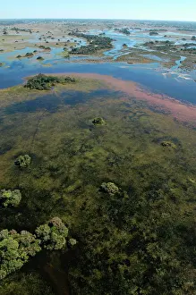 Hayden Oake: Aerial view of Okavango Delta