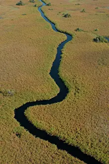 Hayden Oake: Aerial view of Okavango Delta