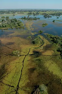 Hayden Oake: Aerial view of Okavango Delta