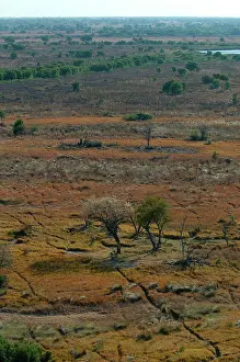 Hayden Oake: Aerial view of Okavango Delta