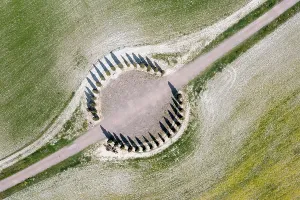 D Orcia: Aerial view, ring of cypresses (Cupressus) field