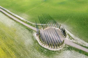 D Orcia: Aerial view, ring of cypresses (Cupressus) field