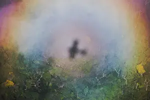 Plane: Aerial view of the shadow of the plane flying over the Amazo