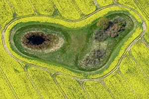 Formed: Aerial view of a Soll in a rape field, Formed by