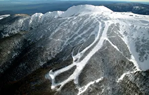 Wombat: Aerial view of southern slopes of Mount Buller