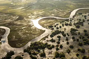Okavango: Aerial view, Swamp area, Okavango Delta, Botswana