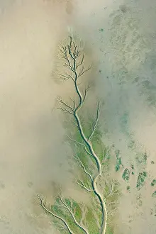 Tideland: Aerial view, tidal creek in the Elbe at low tide