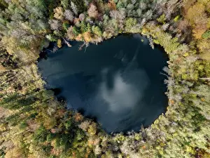 County: Aerial view, top down view of Litzelsee with autumn