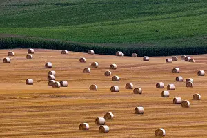 Economy: Aerial view of wheat and maize fields in Pfaffendorf