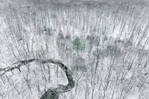 Snowfall: Aerial view of woods after a snowfall, Marion County