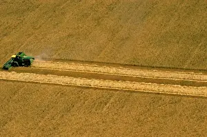 Harvesters: Aerial - Wheat being harvested - combine harvester at work