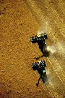 Harvesters: Aerial - Wheat being harvested two combine harvesters