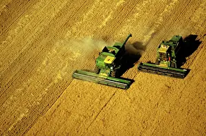 Harvesters: Aerial - Wheat being harvested two combine harvesters