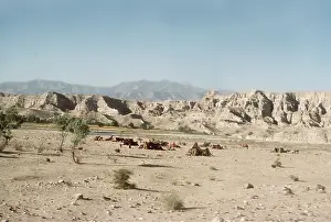 Peoples: AFGHANISTAN - Nomad Encampment Near Khyber Pass