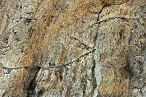 Afghanistan: Afghanistan - People walking on mountain path