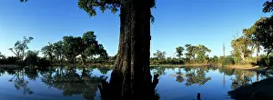 Pans: Africa, Botswana, Chobe National Park, Rising