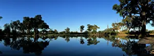 Pans: Africa, Botswana, Chobe National Park, Rising