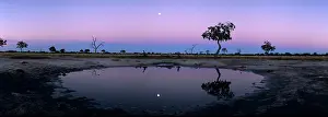 Moonlight: Africa, Botswana, Chobe National Park, Rising