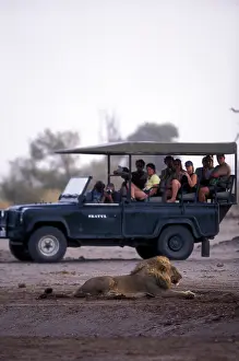 Jeep: Africa, Botswana, Chobe National Park, Safari