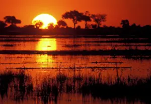 Kasane: Africa, Botswana, Chobe National Park, Setting