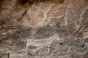 Carving: Africa, Botswana, Tsodilo Hills. Ancient
