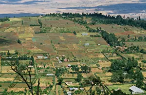 Subsistence: AFRICA - Kenya