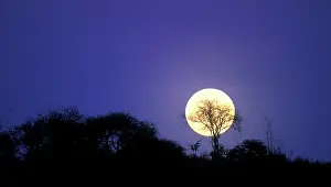 Moonrise: Africa, Kenya, Amboseli National Park, Full