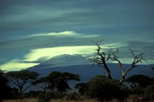 Kilimanjaro: Africa, Kenya, Amboseli National Park, Full