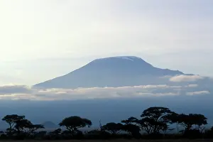 Kilimanjaro: Africa, Kenya, Amboseli National Park, Morning