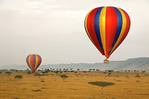 Drifting: Africa, Kenya, Maasai Mara. Hot-Air Ballooning