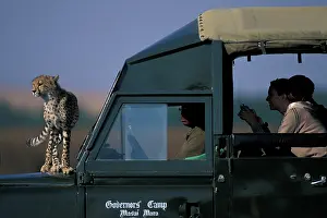 Jeep: Africa, Kenya, Masai Mara Game Reserve