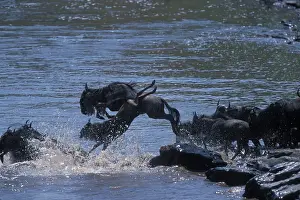Fittest: Africa, Kenya, Masai Mara Game Reserve
