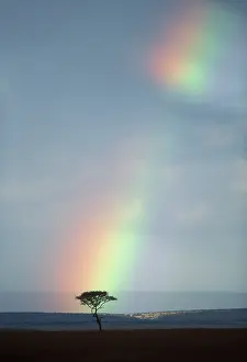 Inspirational: Africa, Kenya, Masai Mara Game Reserve