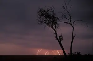 Looming: Africa, Kenya, Masai Mara Game Reserve