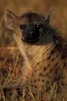 Savage: Africa, Kenya, Masai Mara Game Reserve