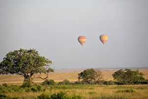 Ballooning: Africa, Kenya, Masai Mara. Two hot air balloons