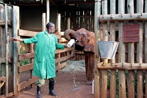 Orphaned: Africa, Kenya, Nairobi. Caretaker bottle