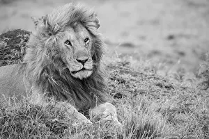 Selective: Africa, Kenya, Northern Serengeti Plains, Maasai