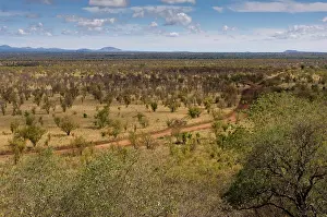 Meru: Africa, Kenya, a view of Meru National Park