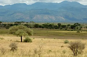 Meru: Africa, Kenya, a view of Meru National Park