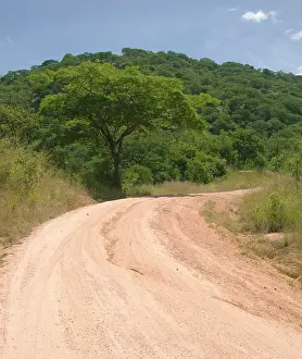 Bending: Africa; Malawi; Cape Maclear; Dirt road