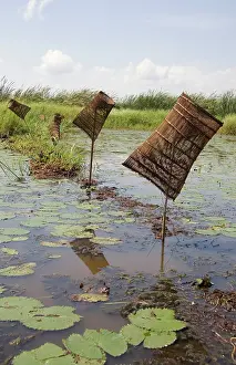 Tool: Africa; Malawi; Lake Chilwa; Fishing weir