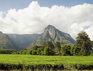Malawi: Africa; Malawi; Mulanje; Mt. Mulanje; Mt